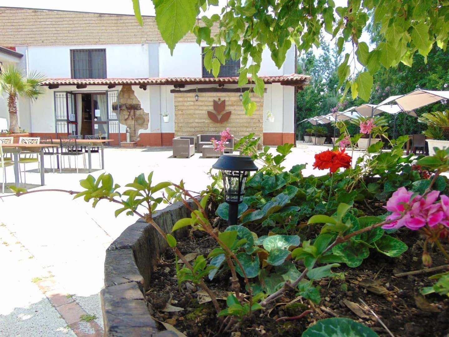 San Marco Evangelista Casale Rurale Bed & Breakfast エクステリア 写真