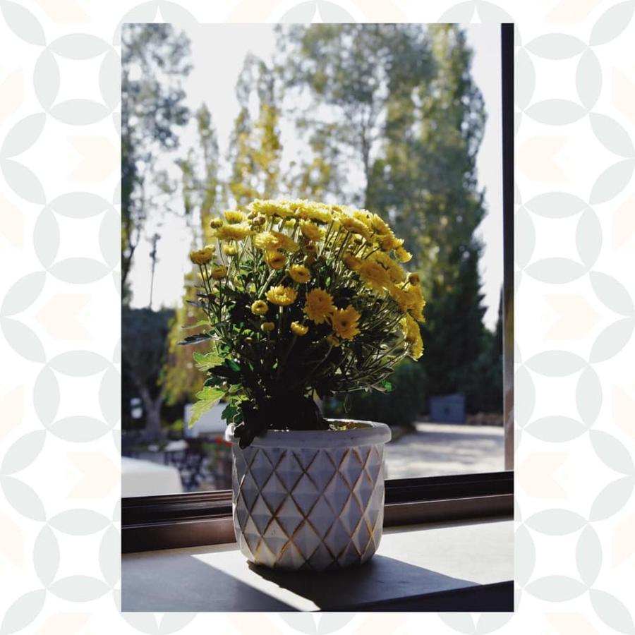 San Marco Evangelista Casale Rurale Bed & Breakfast エクステリア 写真