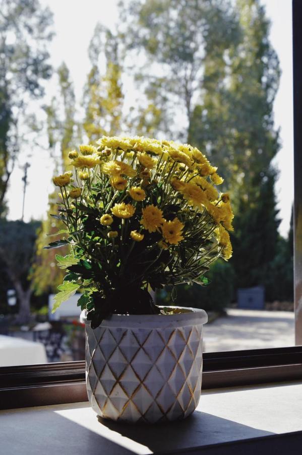 San Marco Evangelista Casale Rurale Bed & Breakfast エクステリア 写真